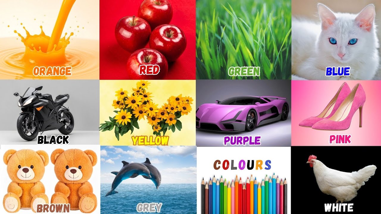 We Love All the Colors | Learn English Colors | Nursery Rhymes & Kids Song | Educational Color Song