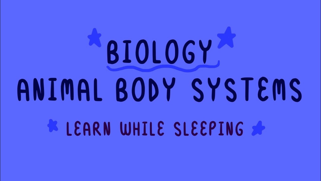 Biology ~ Animal Body Systems ~ Learn While Sleeping