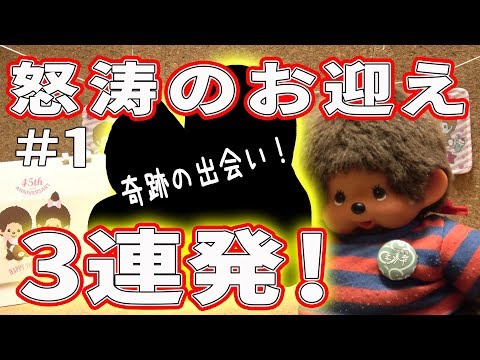 モンチッチハッピーセットで怒涛のお迎え！？【モンチッチシリーズ#89