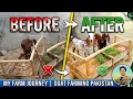 Before & After Goat House Cleaning 🐐 | Amazing Transformation | Goat Farming Pakistan