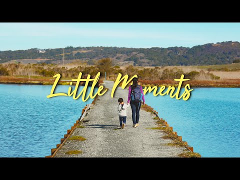 Video: Elkhorn Slough Doğa Turu, Monterey Körfezi