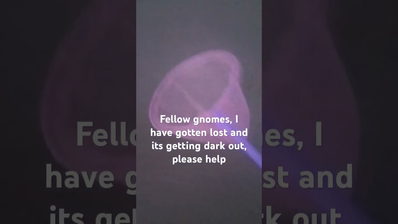 #gnomesvsknights