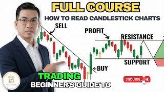 The Only Candlestick Pattern Guide Uploading Templates To Metatrader 4 Part 53