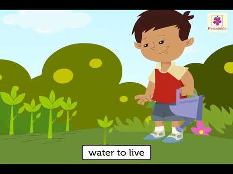 Importance of Water | Science For Kids | All Important Water | Periwinkle | Vid #10