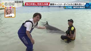 まもなくオープン！ 神戸須磨シーワールドから中継🐬シャチにイルカ！