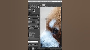 FREE GIMP Tutorial: How To Cut Out Animals with Fur From Background