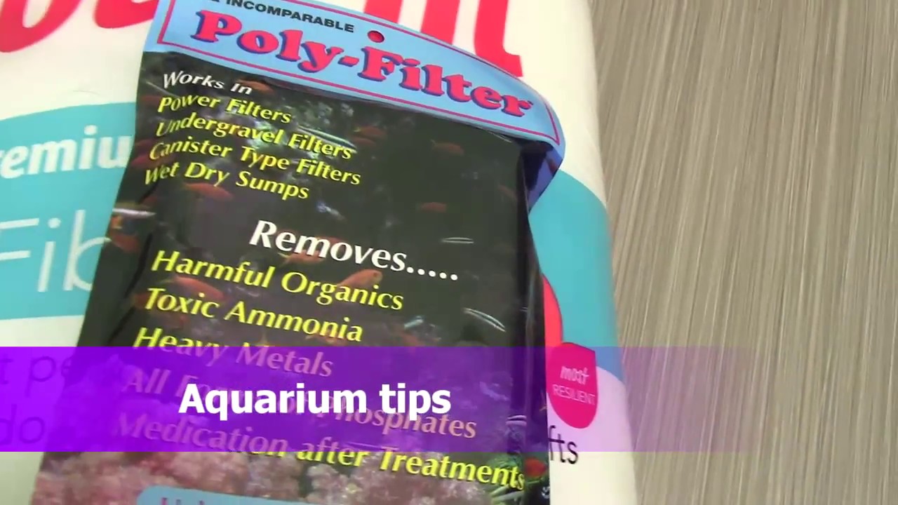 Aquarium tips to keep the water Clean Poly filter and poly fil YouTube