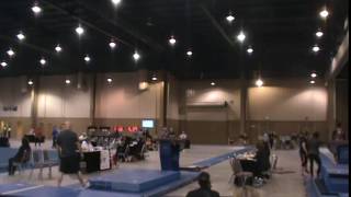 Meghan Greene 2017 Regional Vault 2 04102016