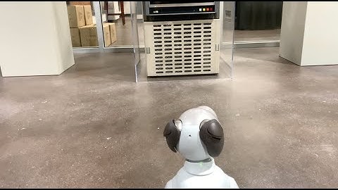 Aibo Alone at CMoA - The Xerox Alto