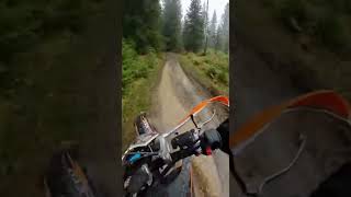 Racing for My Life From a Bear! 😨🏍️