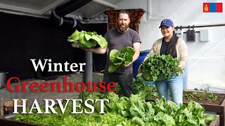 OUR FIRST WINTER HARVEST | Home Made Kimchi & preparing for spring