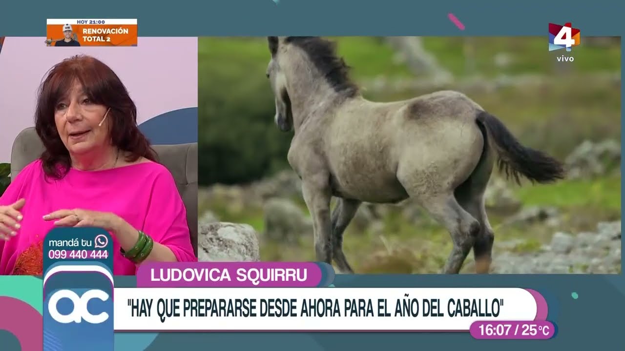 Algo Contigo - Las predicciones de Ludovica Squirru