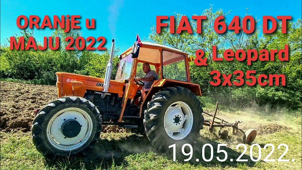 FIAT 640 DT i Leopard 3x35 | Oranje 19.05.2022. | Fiat 640 DT Plowing | STORE