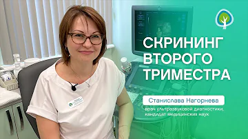 Скрининг II триместра