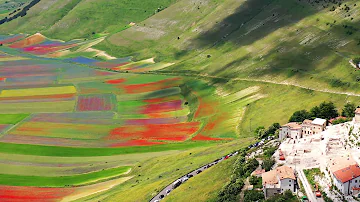 Quanti giorni dura la fioritura di Castelluccio?