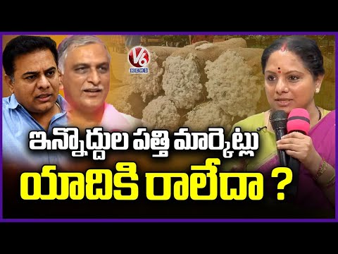 Kavitha Comments On KTR and Harish Rao Over Visiting Cotton Markets | V6 News - V6NEWSTELUGU