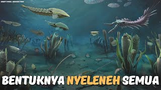 The Beginning.....But Why Like This? : Cambrian Explosion