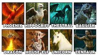 Every MAGICAL Creature In Harry Potter EXPLAINED in Detail