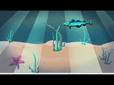 Vertera Gel Forte / гель Вертера Форте - YouTube