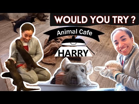 HARRY 　村越弘明　ATTHEGARDEN 3bc3e023-ee56-41d4-9b0a-