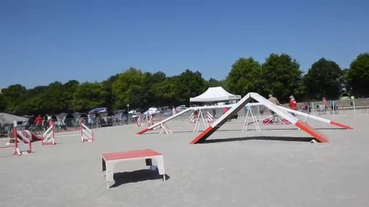 "4 PAT" - Agility - Samedi