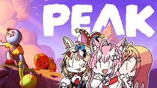 尾丸ポルカの配信のサムネイル画像