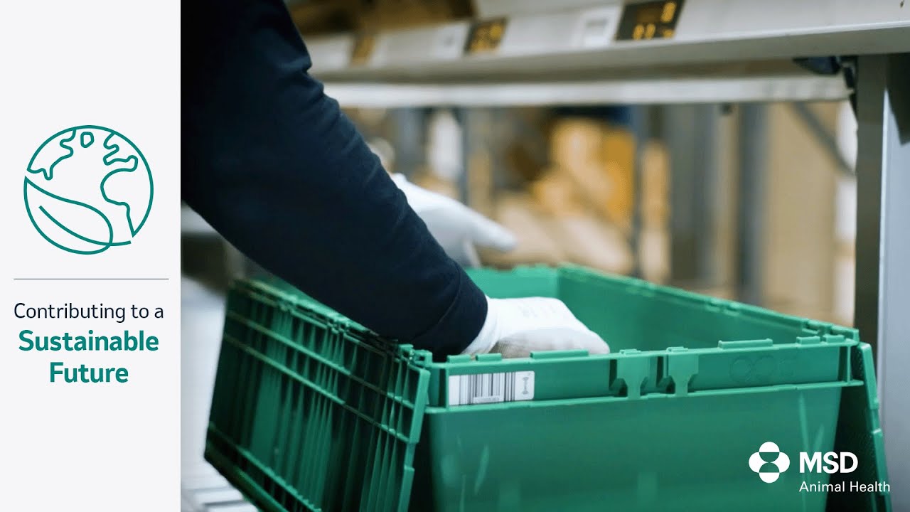 Going Green with Reusable Boxes - YouTube
