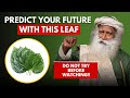 99 dont know  this one leaf can help you  sadhguru