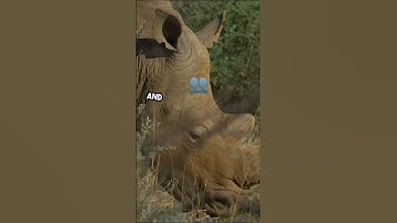 Symbiosis and Mutualism in Nature