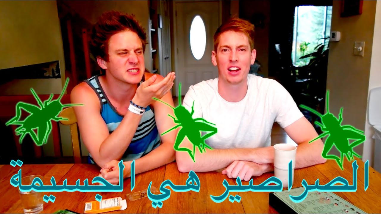 funny moments in soccer ARABIC CRICKETS CHALLENGE!!