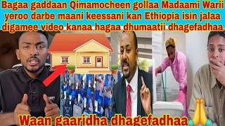 📌 Gamadaan Motuman Ethiopia Seraa Bareedaa Basee Wareen. Maani Kessan Isin Jalaa Digameefi