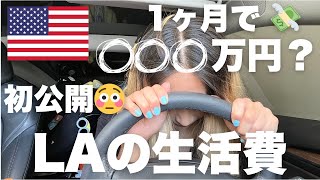 【驚愕 🇺🇸】LA物価高騰💸シングルマザー弁護士の1ヶ月の生活費がやばい・・・どうやって生きていこう😅