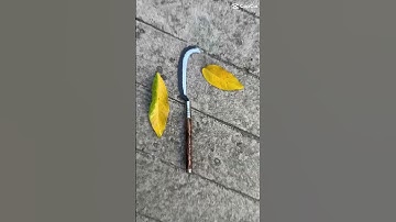 Rựa khâu Inox - dụng cụ nông nghiệp