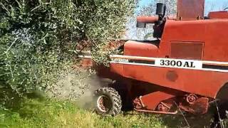 Fiatagri-Laverda 3300 AL TREBBIATURA MAIS 2016