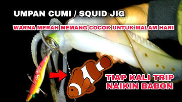 Umpan Cumi/ Squid Jig Warna Merah Memang Cocok Untuk Malam Hari, Selalu di Sambar Babon