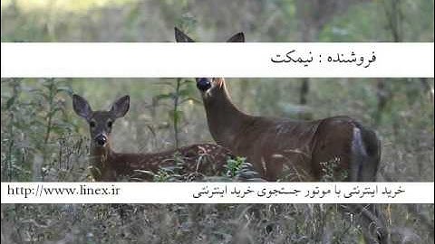 خرید اینترنتی آموزش تایپ ده انگشتی