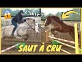 Cours saut dobstacles  cru et dream saute 1 mtre   200221  cso landreau