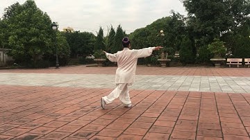 THÁI CỰC QUYỀN 27 THỨC - MẶT SAU