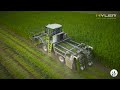 Hyler sativa 200  hemp harvesting for textiles in france 2022