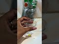 🥇 cup mini tutup sambung