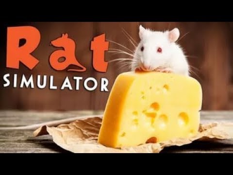 Rat Simulator прохождение
