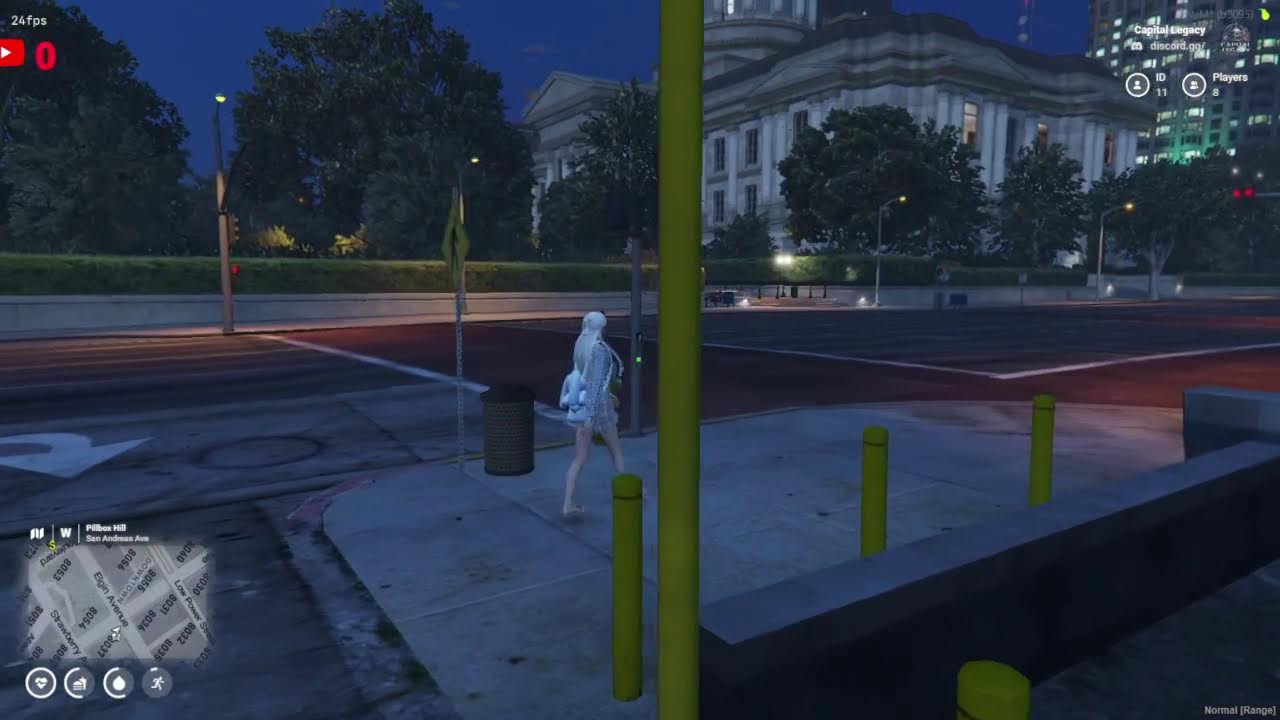 แมวขับรถบัส