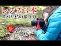 【椿をアンダー気味に撮る理由】花のイメージを掴む