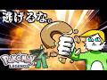 ポケモンZAから逃げるな【VTuber】