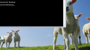 HEVD stack overflow