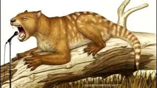 41295393_1910681772330507_515773383876639448_n