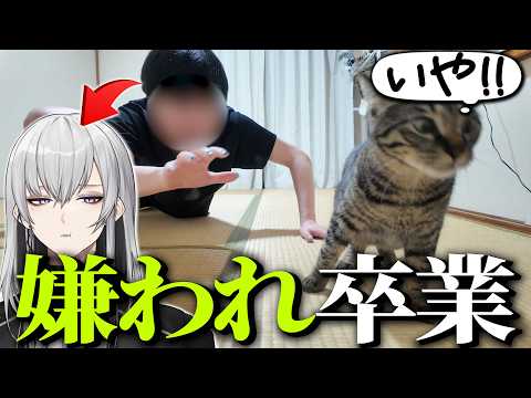 猫に嫌われたVTuber、モテる柔軟剤で逆転する