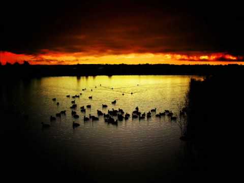 Watch Steve Angello - Straight on YouTube Watch Steve Angello - Straight on YouTube