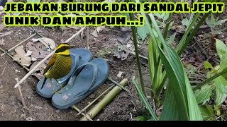 JEBAKAN BURUNG DARI SANDAL JEPIT || BIRD TRAP