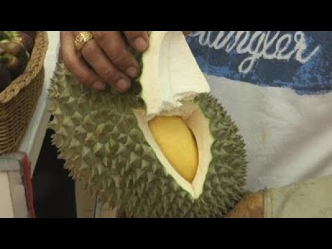 Vídeo: Per què és tan car el durian d'espina negra?